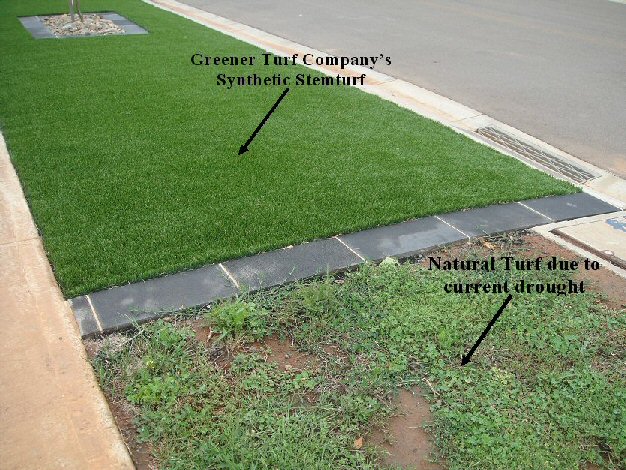 With and Without Stemturf.