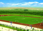Soccer Field installed by our overseas supplier.