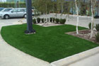 Turf Title