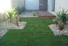 Backyard Turf