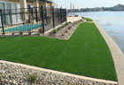 Harbourside Turf Replacement
