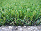 Stemturf PX2