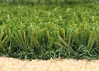 Stemturf  